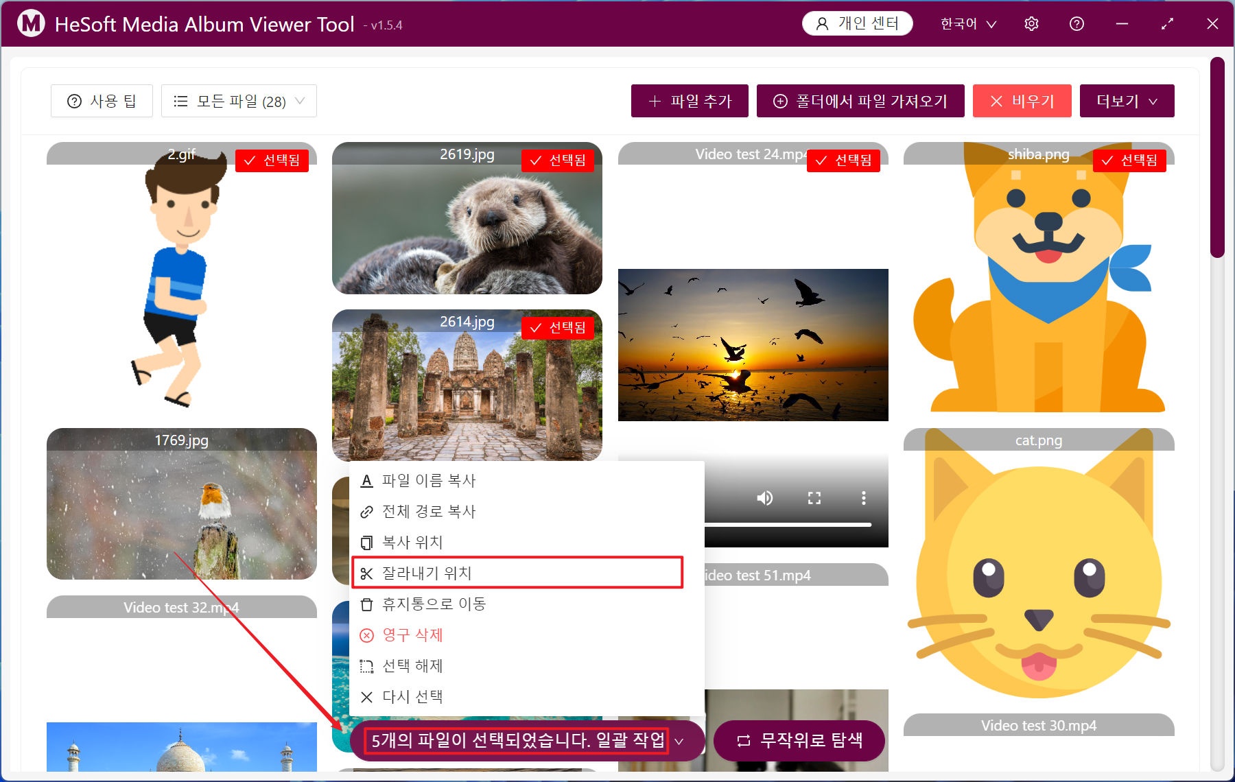 image-여러 폴더에서 모든 사진 및 비디오 파일을 미리보고 재생하는 방법 및 지정된 위치로 파일을 일괄 선택